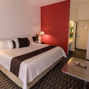 Preferential Room One Bed
